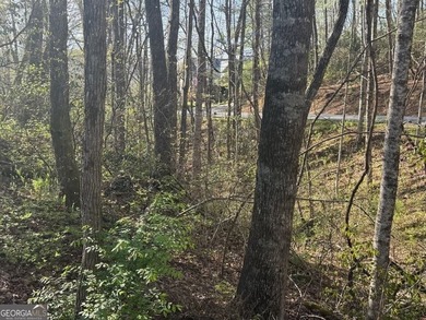 Build your mountain escape on this pristine .49-acre lot located - photo 3