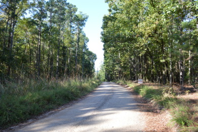 Wooded 1-acre rural lot, near Lake Wateree. - photo 2