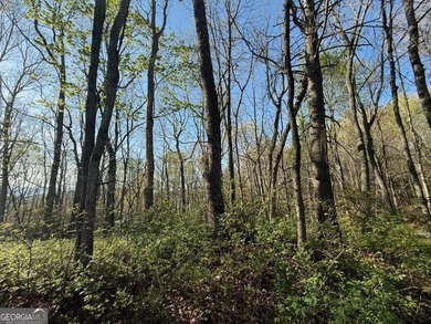 Build your mountain escape on this pristine .49-acre lot located - photo 4