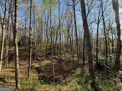 Build your mountain escape on this pristine .49-acre lot located - photo 5