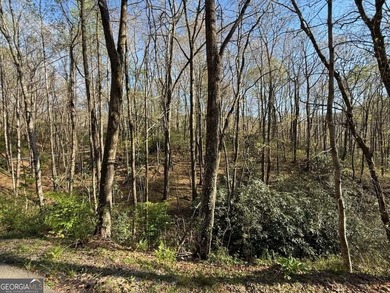Build your mountain escape on this pristine .49-acre lot located - photo 6