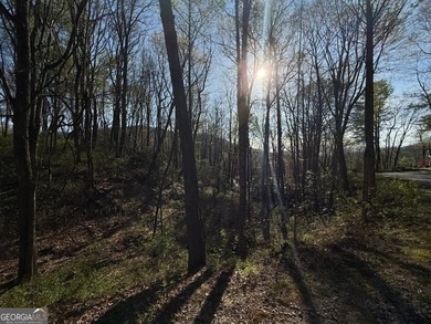 Build your mountain escape on this pristine .49-acre lot located - photo 7