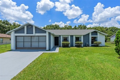 (private lake, pond, creek) Home For Sale in Kissimmee Florida