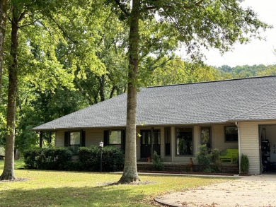 Lake Home For Sale in Mountain View, Arkansas