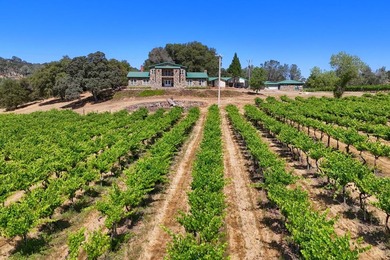 Submit all offers!!!Exquisite Estate House, Two homes and a - photo 5