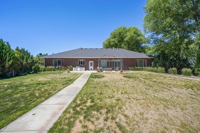 This STUNNING property boasts over 250 trees. When you come down - photo 20