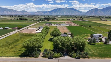 This STUNNING property boasts over 250 trees. When you come down - photo 21
