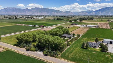 This STUNNING property boasts over 250 trees. When you come down - photo 22