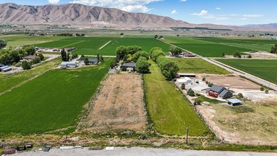 This STUNNING property boasts over 250 trees. When you come down - photo 23