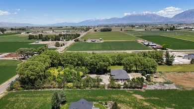 This STUNNING property boasts over 250 trees. When you come down - photo 24