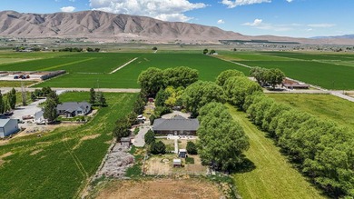 This STUNNING property boasts over 250 trees. When you come down - photo 25