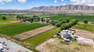 This STUNNING property boasts over 250 trees. When you come down - photo 28