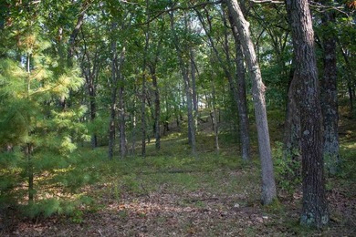 Wooded Building Lot with Great Location to lots of recreation to - photo 2