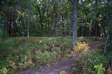 Wooded Building Lot with Great Location to lots of recreation to - photo 3