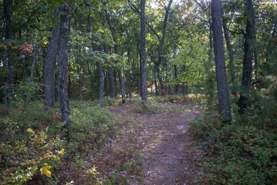Wooded Building Lot with Great Location to lots of recreation to - photo 4