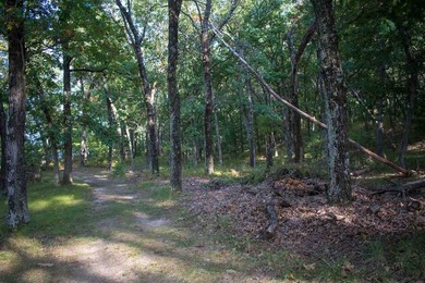 Wooded Building Lot with Great Location to lots of recreation to - photo 8