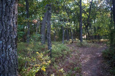 Nice Wooded Building Lot a STONE'S THROW from CASTLE ROCK LAKE - photo 6