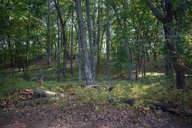 Nice Wooded Building Lot a STONE'S THROW from CASTLE ROCK LAKE - photo 7