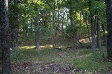 Nice Wooded Building Lot a STONE'S THROW from CASTLE ROCK LAKE - photo 8