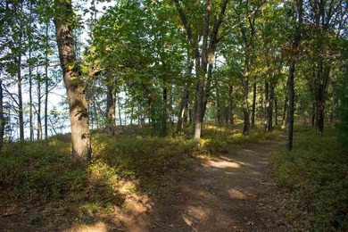 Nice Wooded Building Lot a STONE'S THROW from CASTLE ROCK LAKE - photo 10