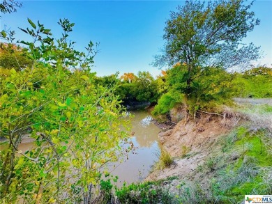 Lake Acreage For Sale in Gatesville, Texas