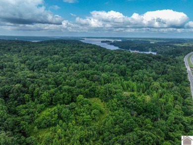Lake Acreage For Sale in Eddyville, Kentucky