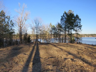 Lake Lot For Sale in Hodges, South Carolina