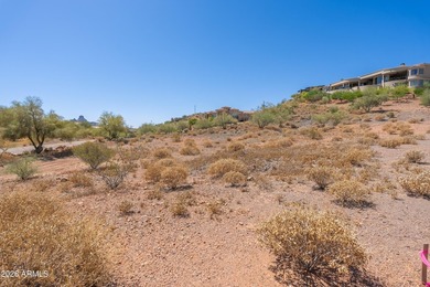 Beautiful gentle sloping lot, just shy of an acre at the back - photo 9