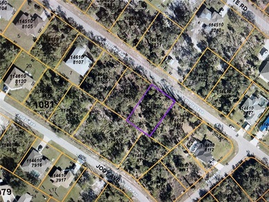 This TRIPLE Residential lot sits (all with separate tax IDs) in - photo 4