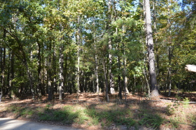 Wooded 1-acre rural lot, near Lake Wateree. - photo 4