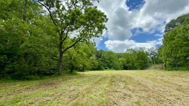 Located on quiet and scenic Long Run Road in Athens County, this - photo 12