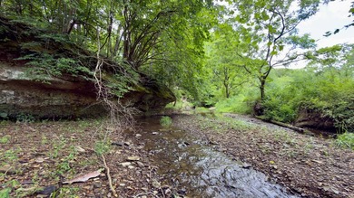 Located on quiet and scenic Long Run Road in Athens County, this - photo 15