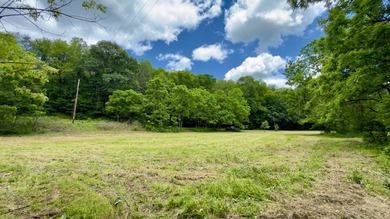 Located on quiet and scenic Long Run Road in Athens County, this - photo 17
