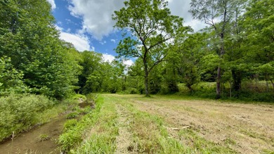 Located on quiet and scenic Long Run Road in Athens County, this - photo 18