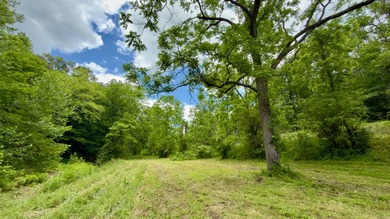 Located on quiet and scenic Long Run Road in Athens County, this - photo 20