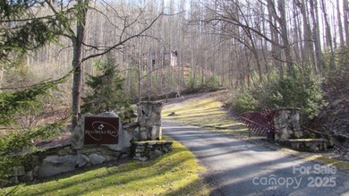 (private lake, pond, coastal) Acreage For Sale in Mars Hill North Carolina