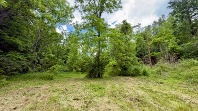 Located on quiet and scenic Long Run Road in Athens County, this - photo 22
