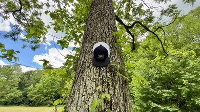 Located on quiet and scenic Long Run Road in Athens County, this - photo 24