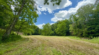 Located on quiet and scenic Long Run Road in Athens County, this - photo 25