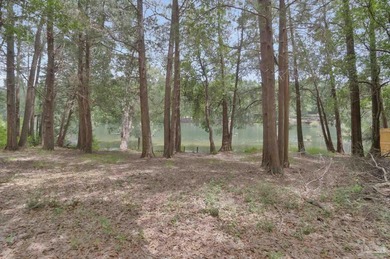 Welcome to your own slice of Florida paradise! A charming 1/1 - photo 31