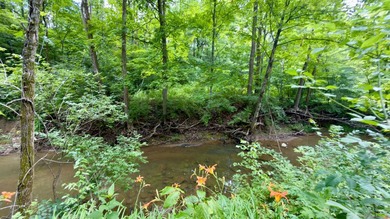 Located on quiet and scenic Long Run Road in Athens County, this - photo 32