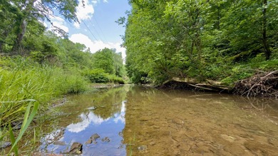 Located on quiet and scenic Long Run Road in Athens County, this - photo 34