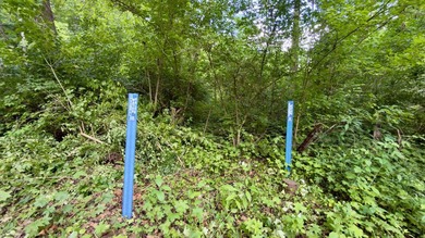 Located on quiet and scenic Long Run Road in Athens County, this - photo 35