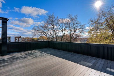 Modern, High-Income Fourplex in Hochelaga-Maisonneuve! Built in - photo 3