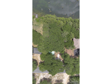 Welcome to your own slice of Florida paradise! A charming 1/1 - photo 45
