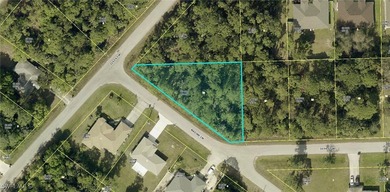 Lehigh Acres Area Lot For Sale in Lehigh Acres Florida