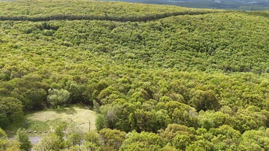 Indian Mountain Lakes Lot For Sale in Albrightsville Pennsylvania