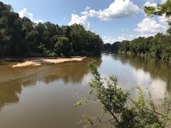 Leaf River - Forrest County Acreage Sale Pending in Petal Mississippi