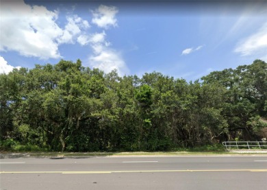 Dyches Lake Lot Sale Pending in Leesburg Florida