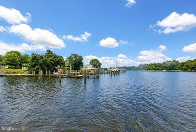 This exceptional custom home on a double waterfront lot offers - photo 9
